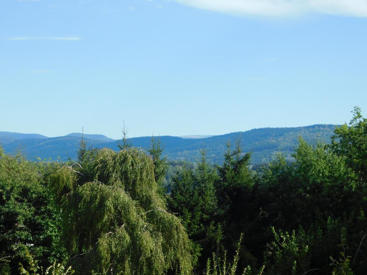 L'Amandaure Bed and Breakfast Saulcy-sur-Meurthe Eksteriør billede