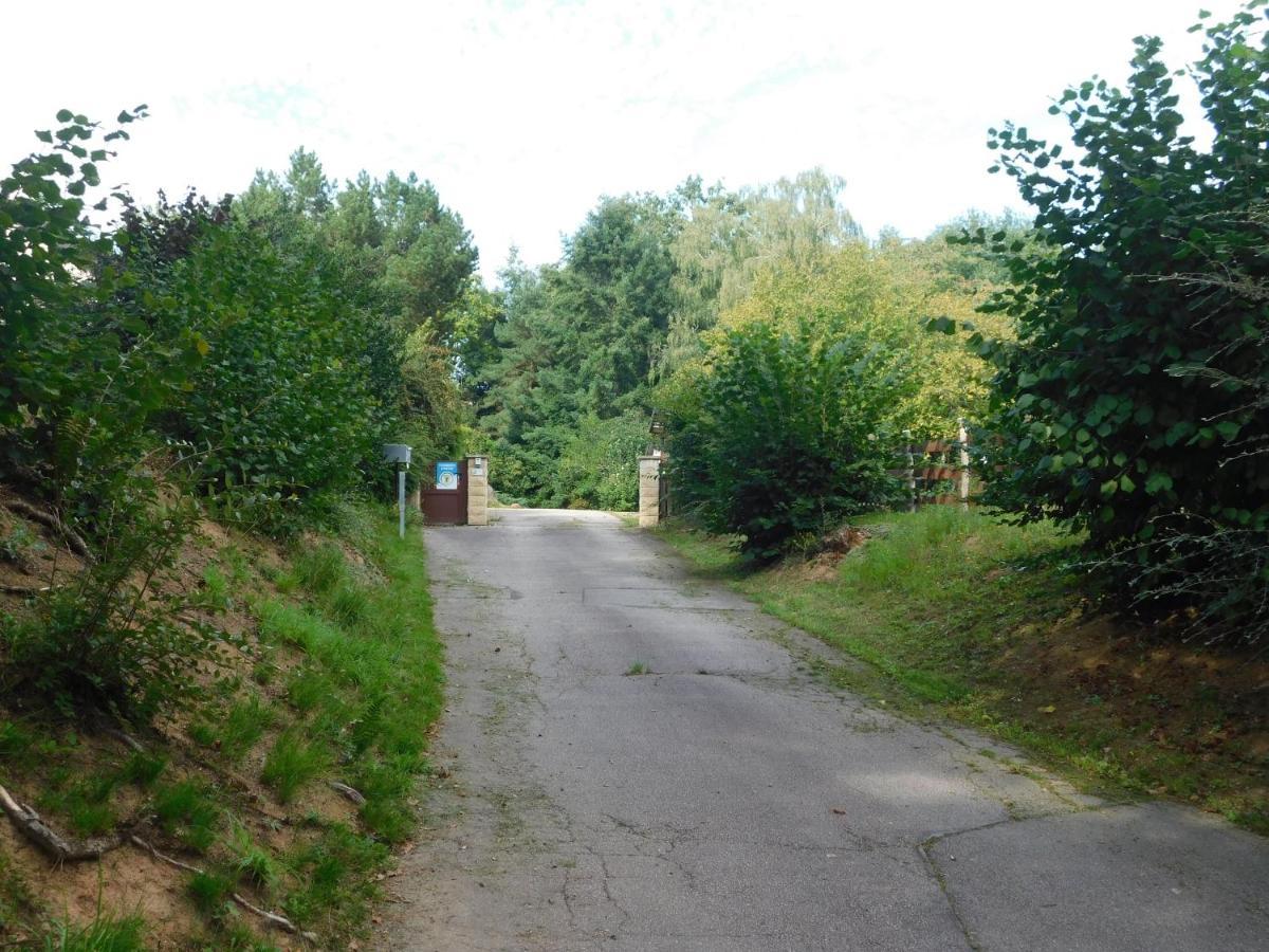 L'Amandaure Bed and Breakfast Saulcy-sur-Meurthe Eksteriør billede